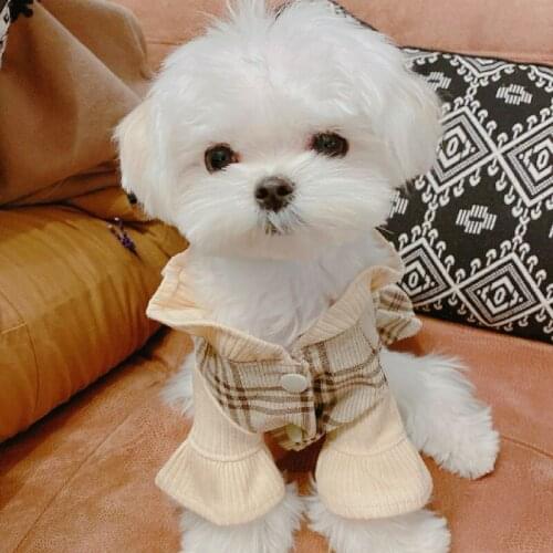 Cat Puppy Dog Dress Winter Pet Dresses Miniature Pinscher Pomeranian Chihuahua Clothes BIchon Poodle Shih Tzu Pet Clothing Skirt