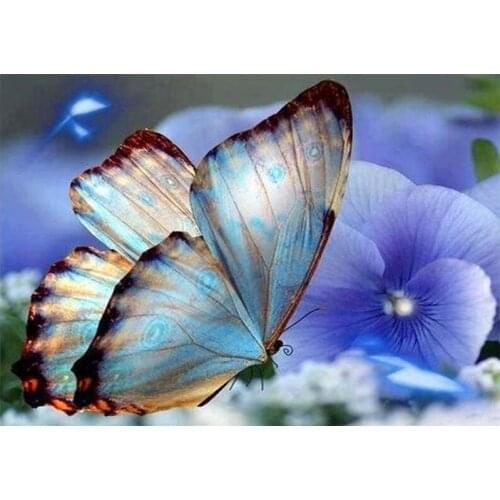 New hot 5D DIY Full Square Diamond Painting "Butterfly Animal" 3D Embroidery Cross Stitch Mosaic Painting Home Decor Gift TY336