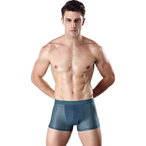 Hot sale Brand Underwear Breathable Mesh Mens Boxers Male Underpants Sexy Panties Cotton Bodysuit Trunks Pant
