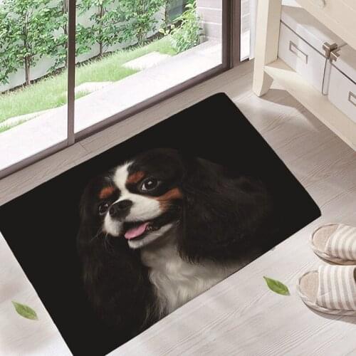 Kawaii Pets Is Smiling Doormats Living Rooms Anti-slip Carpet for Home Balcony Bedroom Kitchen Bathroom Rug Entrance Door Mat