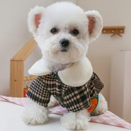 Dog Dresses Autumn Winter Warm Pet Bowknot Skirt Clothes Chihuahau Yorkshire Pet Puppy Wedding Party Princess Dress Outfits