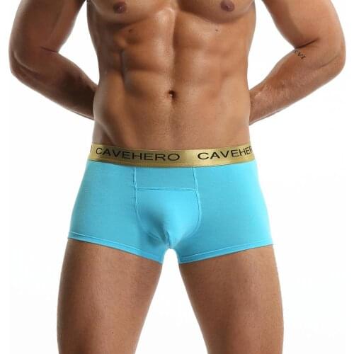 Men Underwear Cotton Breathable Boxer Seamless Gifts for Young Boys Sexy Panties Middle Waist Thin Casual Plus Size Underpants