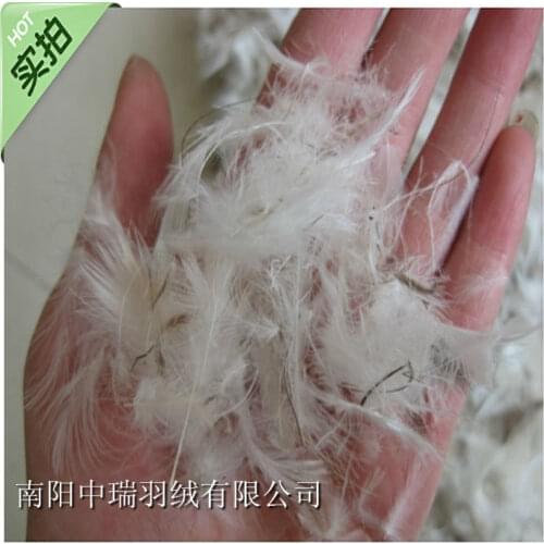 Bulk feather &grey duck feather &down coat and bolsters' filler /warm and doghouse filler paypal accepted 0.5kg/piece