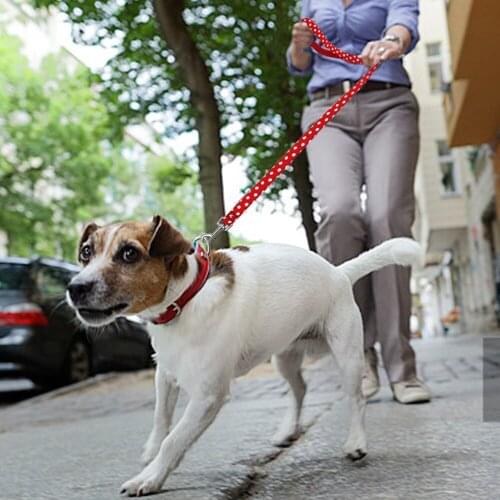 120cm Walking Dog Leash for Small Medium Dogs Cats Soft Nylon Polka Dot Pet Lead Pitbull Outdoor Running Pet Dog Leash