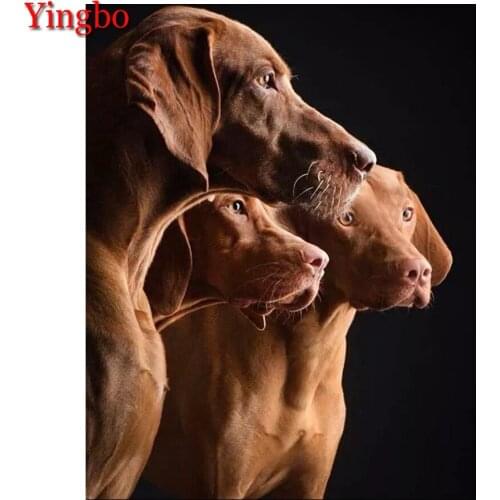 DIY Diamond Embroidery Weimaraner Hound Full Square Diamond Painting Mosaic Handwork Rhinestones Cross StitchWall Decor