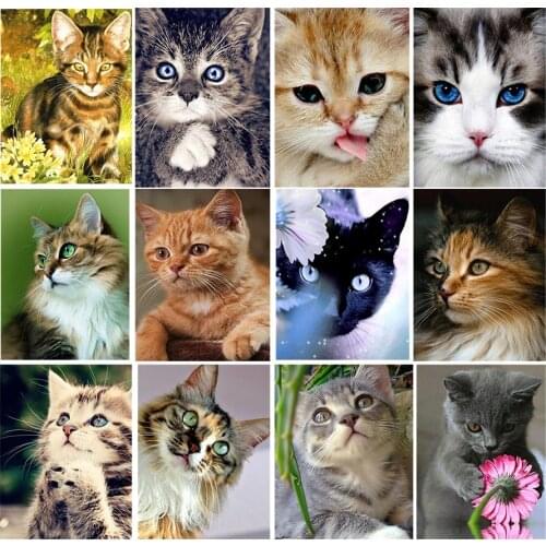 Painting By Numbers Cat Drawing On Canvas HandPainted Gift Picture By Number animal Kits Home Decoration