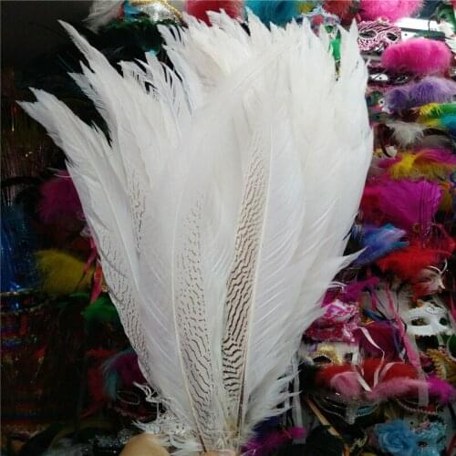 New 50pcs/lot Natural Silver Chicken Pheasant Tail Feathers 24-26inch/60-65cm for Jewelry DIY Decoration Plumas De Faisan