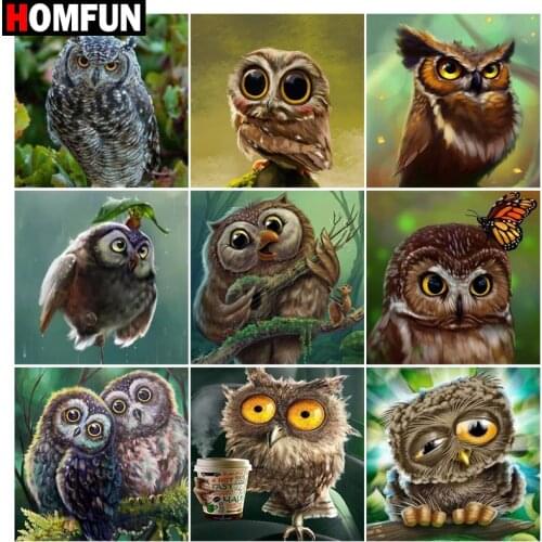 HOMFUN Diamond Painting Cross Stitch "Animal owl" 5D DIY Diamond Embroidery Full Square/round Rhinestone Of Picture