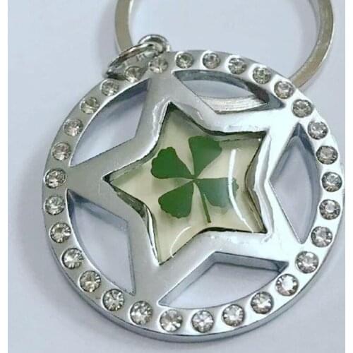 YQTDMY 10 pcs Personalized real four leaf clover classic round stone shamrock keychain
