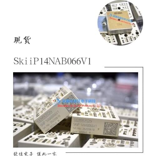 SKIIP13NAB065V1 SKIIP12NAB066V1 11NAB126V1 SKIIP14NAB066V1