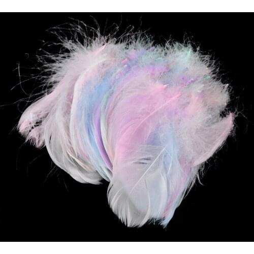 BAOFENGXUE Decorative Feathers