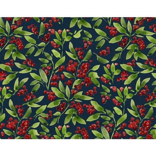 Red fruit baby photography backdrops vinyl kids clothes shop photo backgrounds for photo Studio accessories photophone NB-234