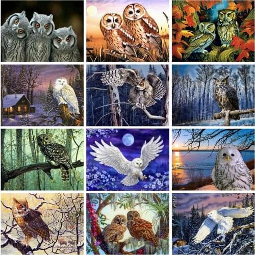 Diamond Painting Full Square/Round Drill Owl Diamond Embroidery Animals 5D DIY Mosaic Picture Of Rhinestone Home Decoration