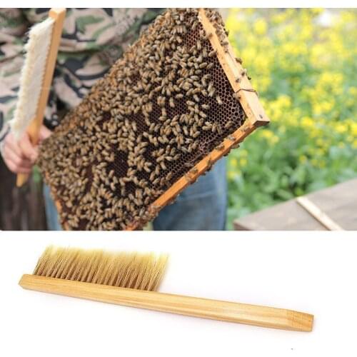 Bee Sweep Beekeeping Tools Wood Honey Brush Wasp Bee Bristle Two Rows Of Horse Tail Hair New Bee Brush Beekeeping Sweeping Tool