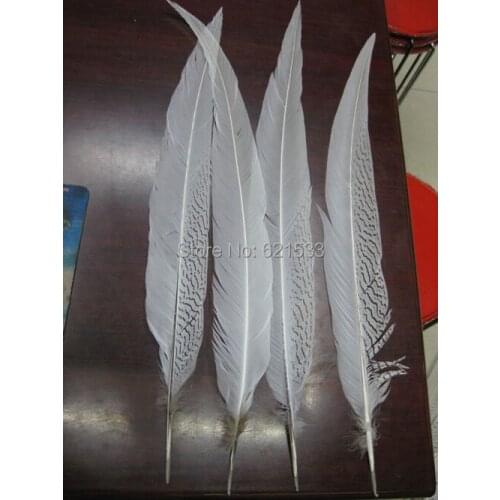 10Pieces/lot-55-60CM Long SILVER PHEASANT Natural Tail Feathers,Silver Pheasant Tails,Loose Long feathers