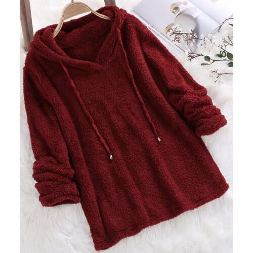 Autumn Winter Long Sleeve Plush Hoodies Women Blue Pink White Fluffy Hoodies Flannel Pullover Pajama Loose Hoodie Tops Plus Size