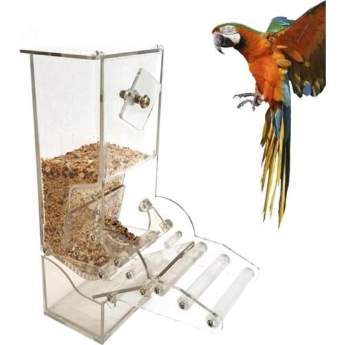 Acrylic Parrot Feeding Case Automatical Bird Feeder Box Parrot Cage Accessory