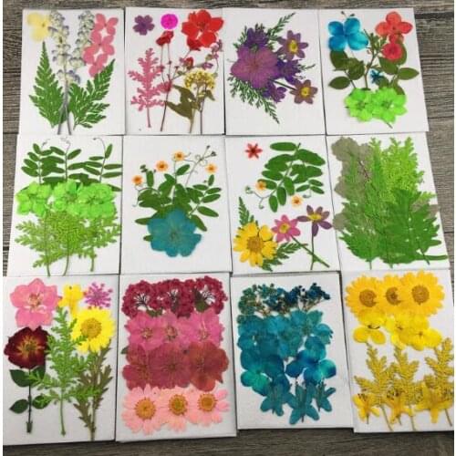 Dried Flowers with Material Bag for DIY Plant Specimen Pressed Flowers Mobile Phone Shell candle making