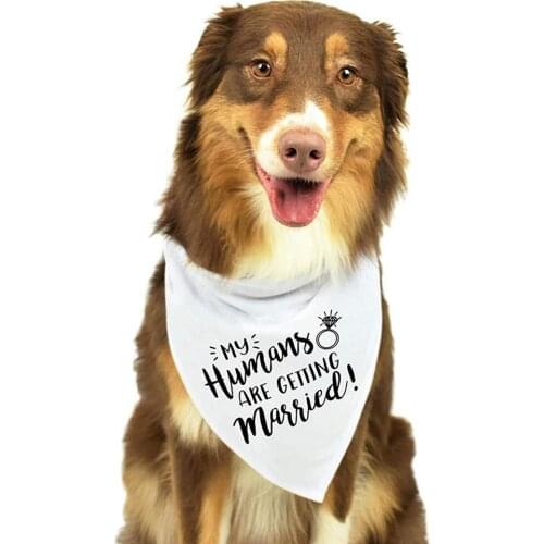 Pet Triangular Towel Collar Saliva Towel Dog Wedding Decoration Supplies Pet Shop Dog Accessories White Cloth Towel