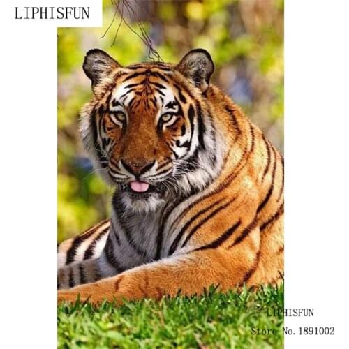 Needlework Diamond Animal Diamond Embroidery Tiger Kits For Embroidery With Beads Patchwork Accessories Hobbies And Crafts