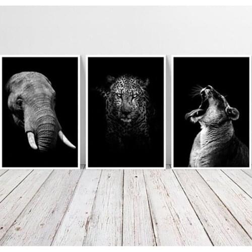 5D Diy Diamond painting Black and White lion tiger Animal diamond embroidery Rhinestone full square round drill 5d mosaicZP-2044