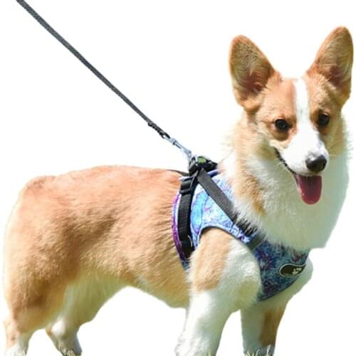 Teddy Breathable Chest Strap Reflective Vest Type Dog Leash Beautiful Fashionable Marine Pattern for Small Medium Pets 2021 New