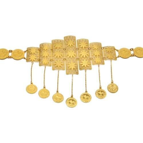 Anniyo Saudi Chain Belts for Women,Turkish Coins Belly Chains Metal Belt Jewelry Middle East Iraqi Kurdistan Arab Gifts #016901