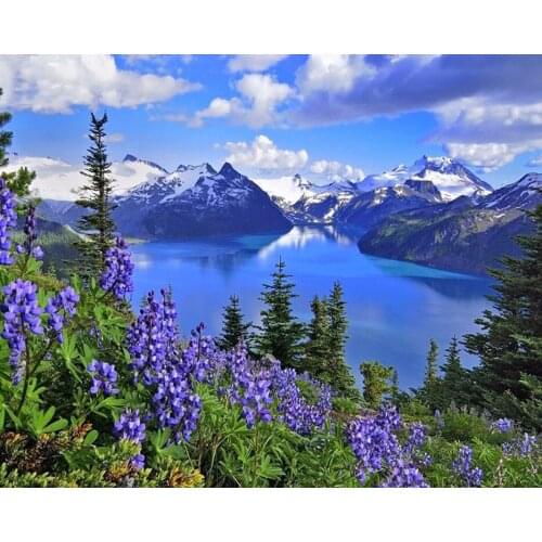 A12047 11CT/14CT/18CT/25CT/28CT Oil tea patterns Counted Cross Stitch DIY Cross Stitch Kits Embroidery Needlework Sets