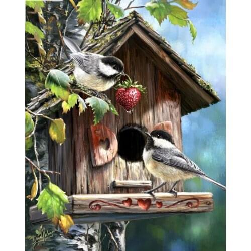 Full Square/round Diamond 5D DIY Diamond Painting "Two birds" Embroidery Cross Stitch Rhinestone Mosaic Painting Decor WG054