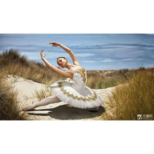 Adult White Professional Ballet Dance Costume Competition Suit TUTU Ballet Dress Ballet Dancing Custom 3 Colors B-6516