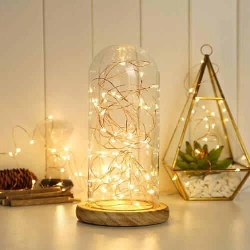 2PCS Mini String Lights Copper Wire Garland Powered by Battery 20 30 LED Fairy light Home Christmas Wedding Party Decoration