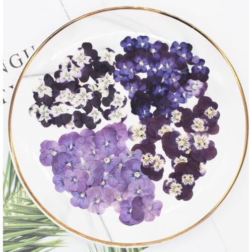 60Pcs Pressed Dried Pansy Viola Tricolor Flower Dried Flower Plant DIY Phone Case Nail Art Jewelry Postcard Scrapbooking Decor