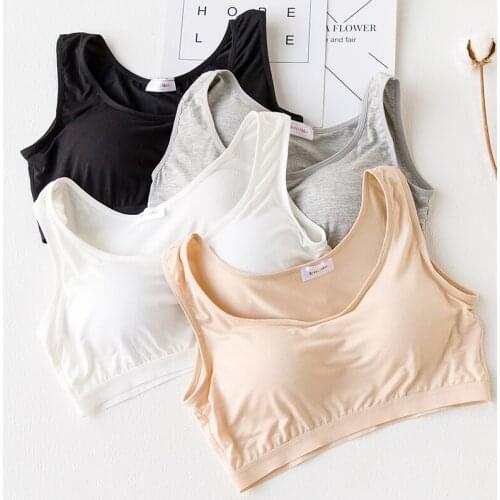 Womens Tube top bra thin belt pad wireless all-match tube top underwear female