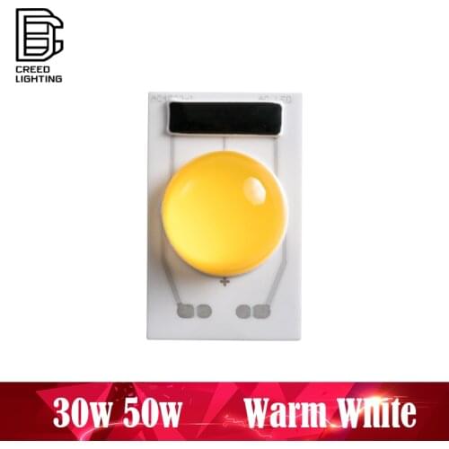 LED COB Lamp Chip 50W AC 110V 220V Warm White Input Smart IC Driver Fit No Need Driver For DIY LED Floodlight Spotlight Chip
