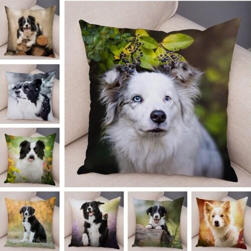 Scotland Border Collie Cushion Cover Pillowcase for Sofa Car Decor Cute Pet Animal Dog Printed Soft Plush Pillow Case 45*45cm