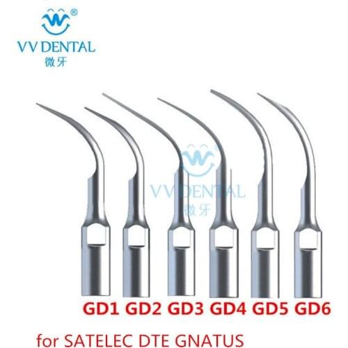 Hot Sale Ultrasonic Dental Scaler Laboratory Equipment Tip GD1 GD2 GD3 GD4 GD5 GD6 Compatible With SATELEC/DTE/GNATUS
