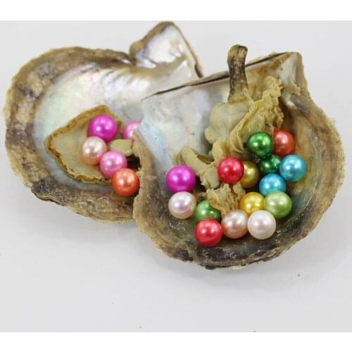 Wholesale 20pcs/lot Random Mix Colors Akoya Round Twins Pearls in Saltwater Oysters 6-7MM AAA Double Pearls Akoya Oysters ABH716