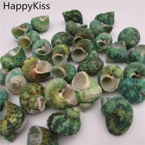 HappyKiss 5pcs/lot Sea Shell Material Natural Craft Seashell seashells conch