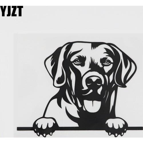 YJZT 14.3CMX10.9CM Peeking Dog Chesapeake Bay Retriever Decal Vinyl Car Sticker Black/Silver 8A-0553
