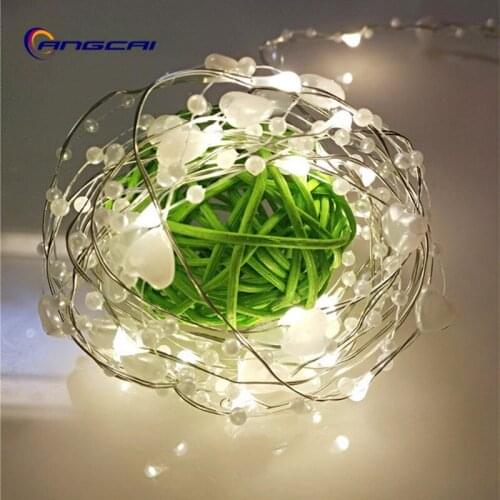 LED String Lights With Transparent Wire Angcai China