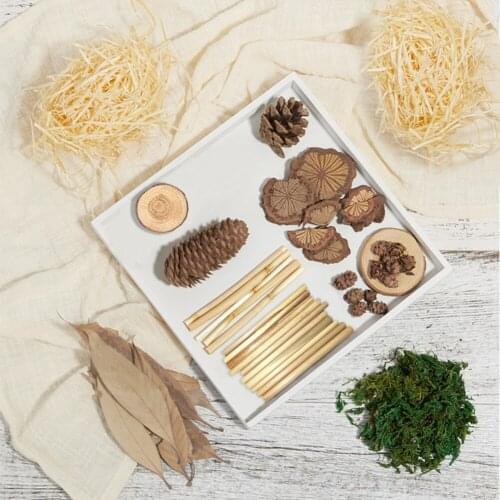 10pcs/set Forest DIY Craft Ornaments For Photography Background Photo Prop Wood Leaves Moss Fish Scale Pine Cone Fruit Straw