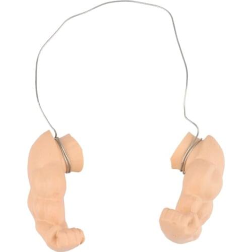 Chicken Toy Chicken Decoration Chicken Forelimb Decoration Spoof Pet Props Big Chicken Muscle Arm