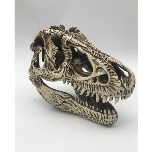 Dinosaur Tyrannosaurus Rex head bone skeleton model