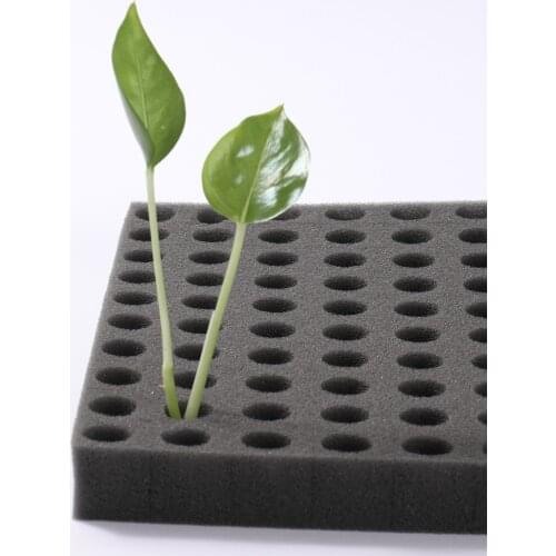 Seeds Sprouter Tray Cell Seedling Starter Tray Seeds Germination Plant Flower Pot Soilless Culture Seeds Hydroponic Nursery Tray