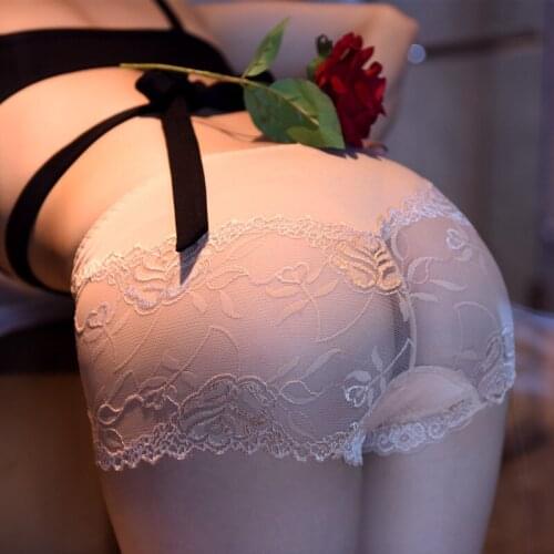 Hot Sexy Plus Size Transparent Lace Panties Cotton Crotch Briefs See Through Fantasy Calcinha Erotic Underwear Lingerie Bragas