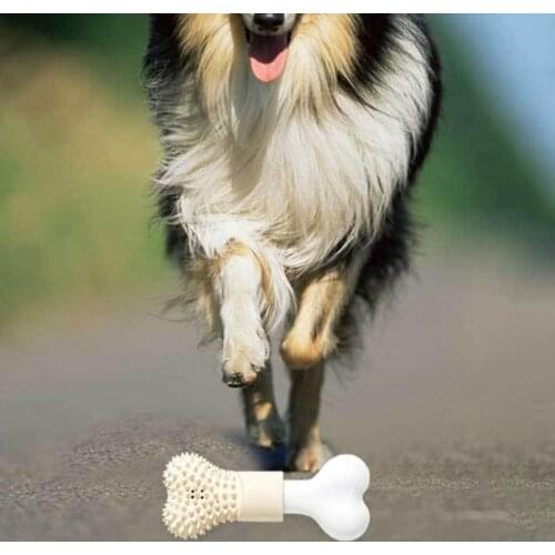 Puppy Molar Bone Bite Resistant Teeth Cleaning Dog Interactive Toy Pet Supply juguetes para perro
