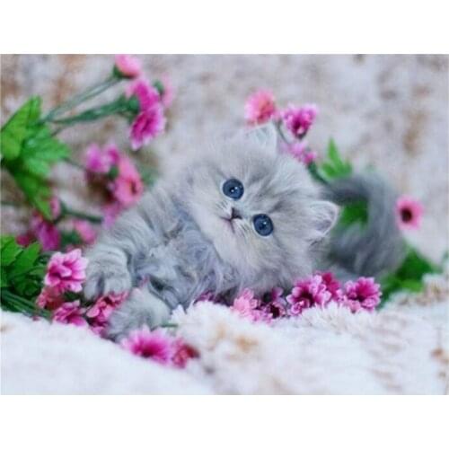 Diamond Mosaic Animal Diamond Painting Full Round Cats Diamond Embroidery Cross Stitch Flowers Picture Of Rhinestones Handcraft