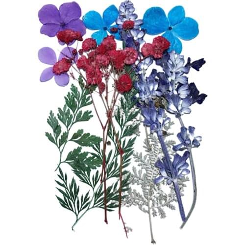Pressed Flower Mixed Dried Flowers Material For Diy Aromatherapy Candles Greeting Card Epoxy Craft Earrings Home Decor