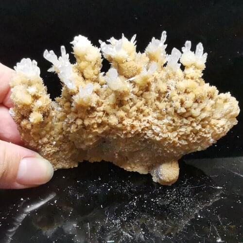 192.6gNatural rare cactus flower calcite and crystal stone mineral specimen healing energy furniture decoration QUARTZ GEM