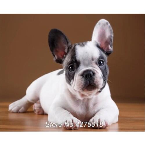 5D DIY Diamond Painting french bulldog puppies Diamond Embroidery Full Drill Square Animal Picture Of Rhinestone Home Art YG691